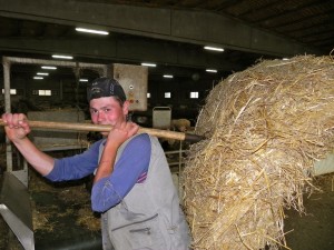 Dani pastor de Carnisseria Bertran